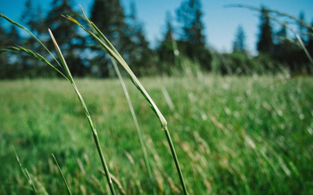 Locação de Guindaste no Distrito Federal