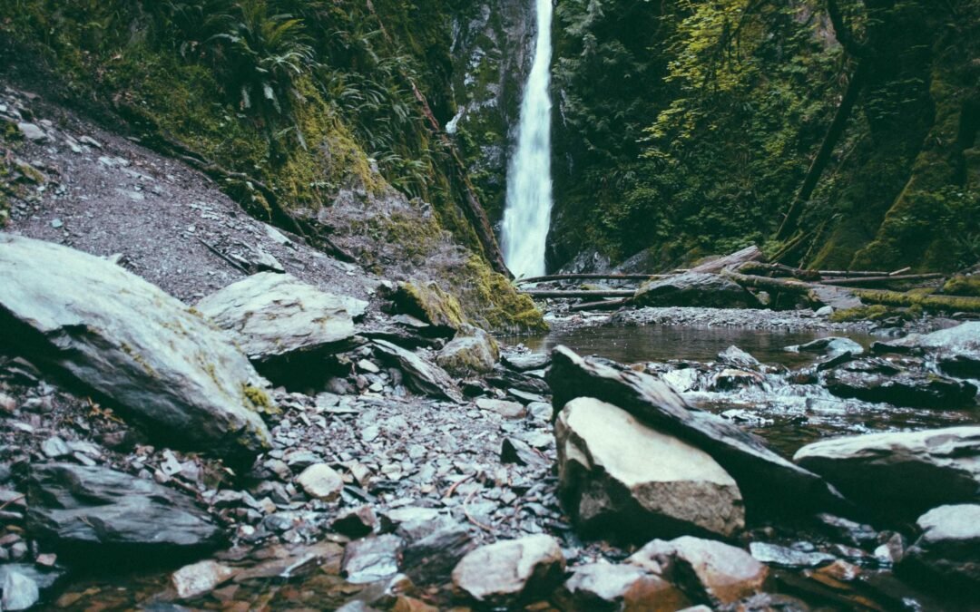 Aluguel de guindaste em curitiba