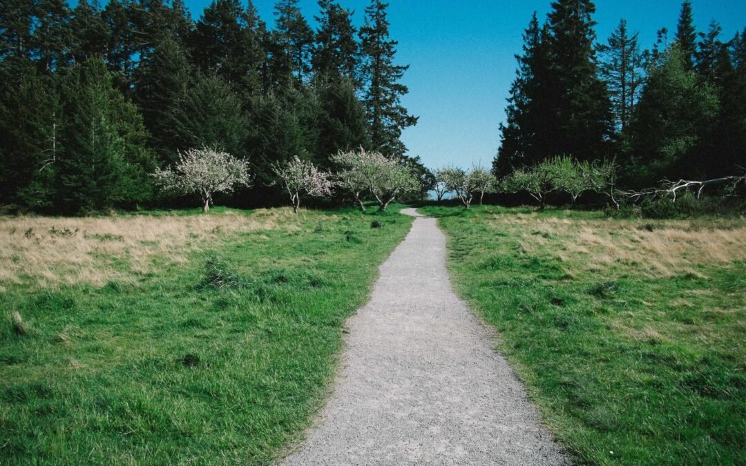 Quanto custa alugar um guindaste